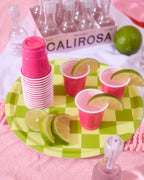 Fiesta Plates - 24 paper plates