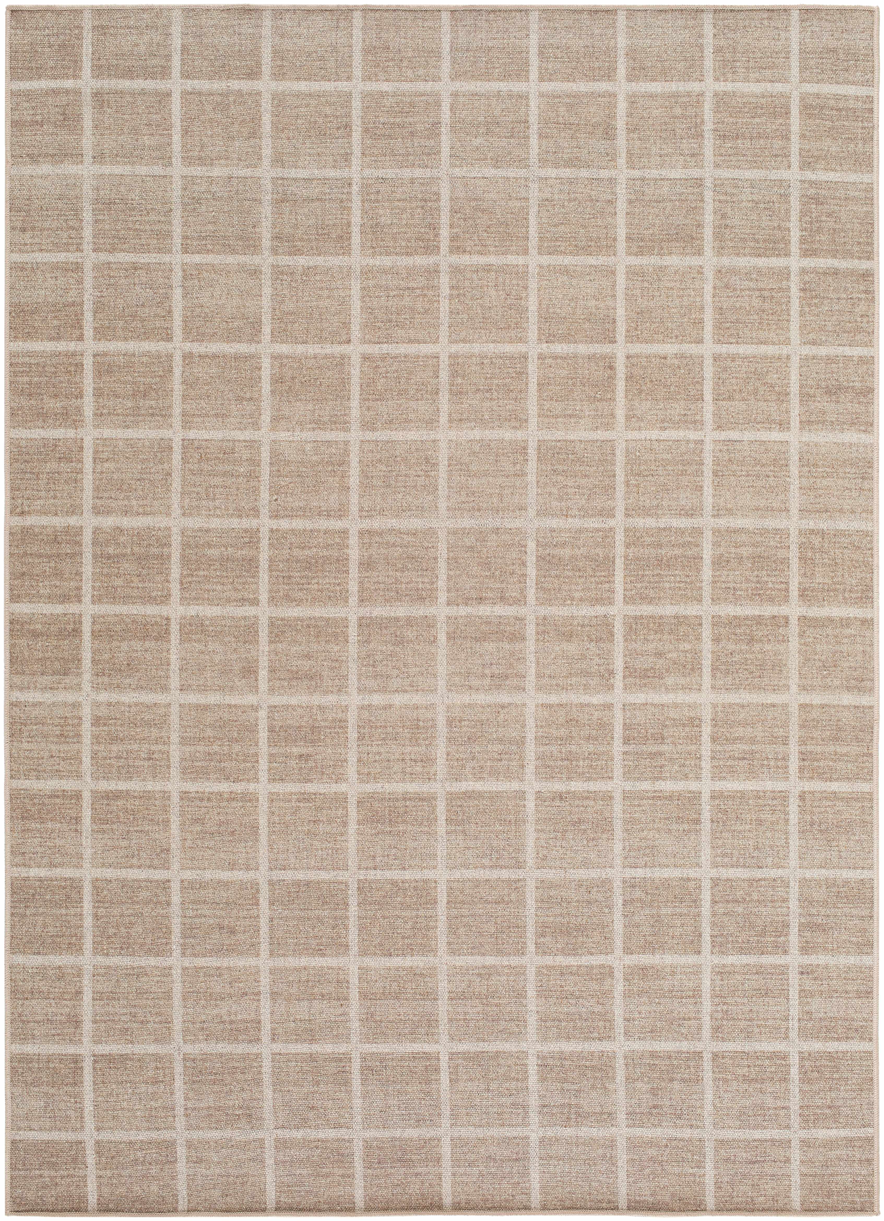 Anicet Checkered Washable Wool Area Rug